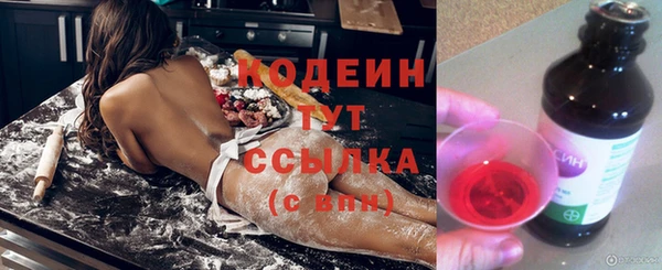 прущие крисы Новозыбков
