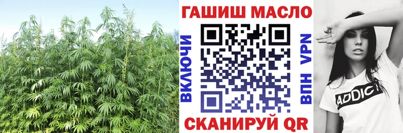 магазин продажи наркотиков  Щёкино  блэк спрут ONION  ТГК гашишное масло 