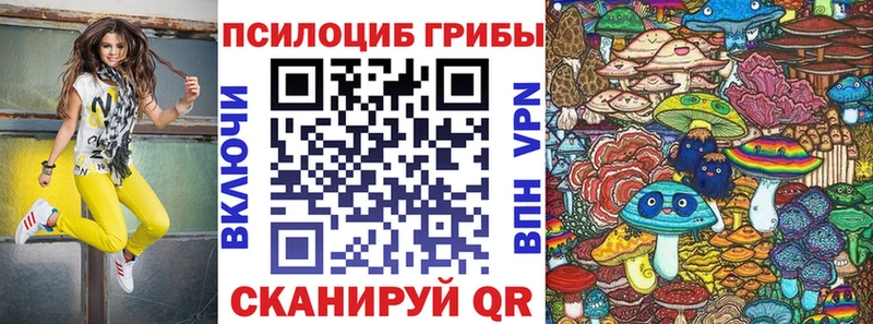 дарнет шоп  Щёкино  Псилоцибиновые грибы прущие грибы 