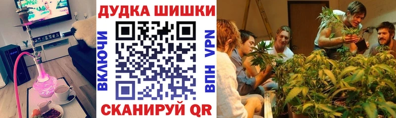Бошки Шишки индика Щёкино